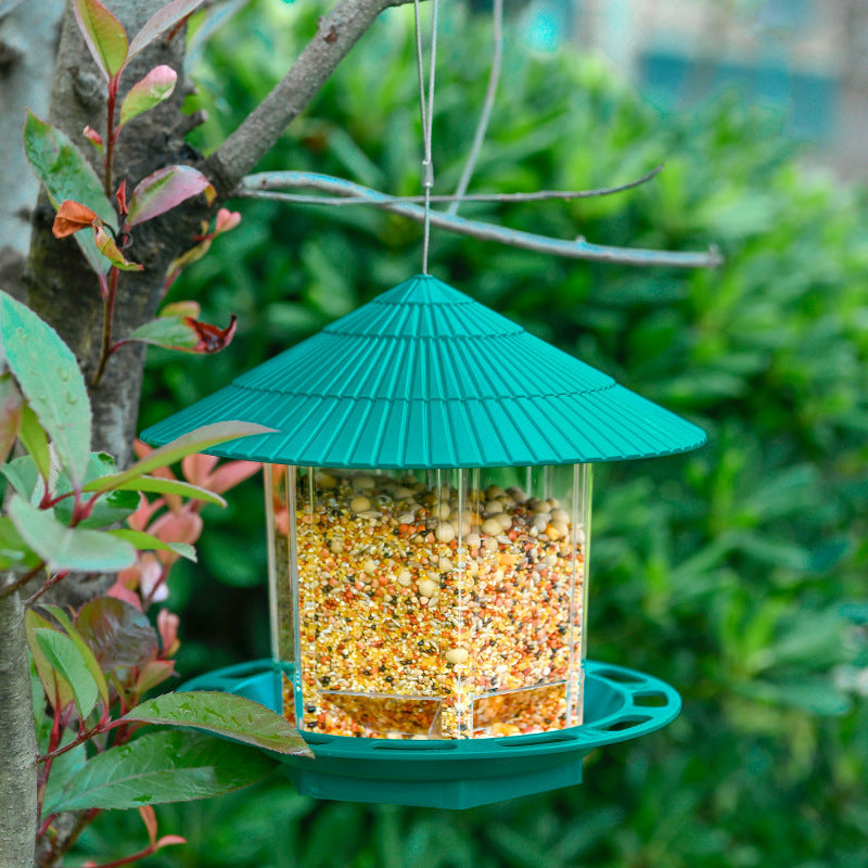 Enhance Your Garden with Our Outdoor Garden Hanging Transparent Bird Feeder